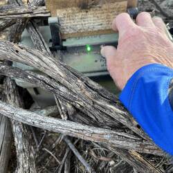 Pressing the button and see the green light, so had to go to my iphone internet settings to logon.