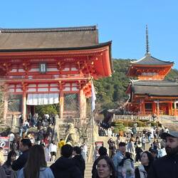 Viel Betrieb am letzten Tempel