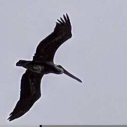 Bis zum Wochenende kaum Leute am Strand zu sehen