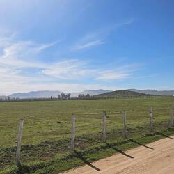 Mountain climate provides a lush environment