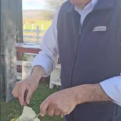 Pasta in Cheese Wheel