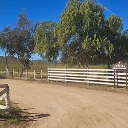 Tim leads the way to a gastronomic delight