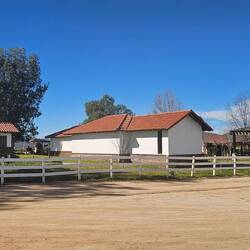 Dairy cows & cheese making