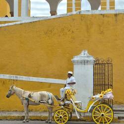 Da passt die Kutsche farblich