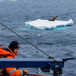We're entertained by wildlife rafting by Ortelius — Weddell Sea, Antarctica.