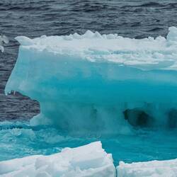 Fulmar on the wing near an ice sculpture — Weddell Sea, Antarctica.