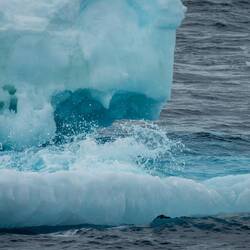Splish, splash — Weddell Sea, Antarctica.