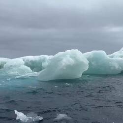 Bobbing on the ocean — Weddell Sea, Antarctica.