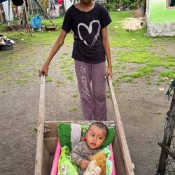If you don't have a stroller, a basket and wheel barrow works fine.