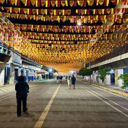 Die ganze Stadt ist geschmückt 🎋🎏🪅