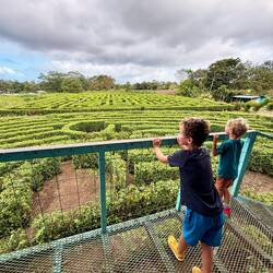 A-maze-ing!!