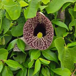 Nothing sexual to see here 🤷‍♀️