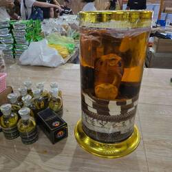 Snake wine 🐍🤢
