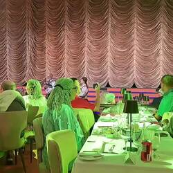 Once dinner was over, the lights went down and the performers emerged to start the show.