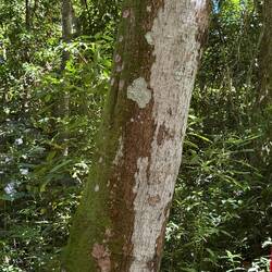 Da erzählt der Guide was von roten Flechten...genau mein Humor...🤣