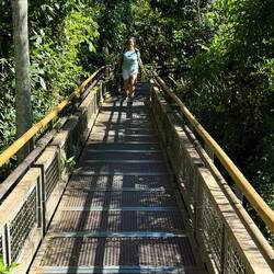 Über Stegen und Brücken zu den "lookouts"