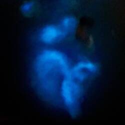 Baden in biolumineszierenden Plankton
