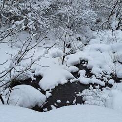 Il fiumiciattolo fuori le mura