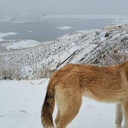 Un amico di grattate😅
