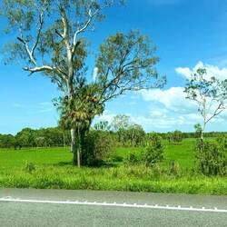 auf dem Weg nach Townsville