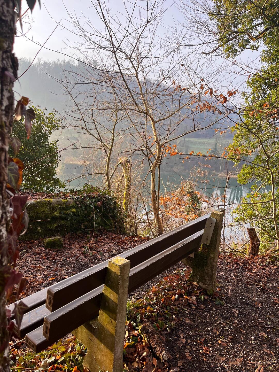 From Germany to Switzerland across the Rhine