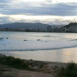 Paradies für Surfer(Anfänger?)