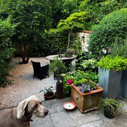 Mavis - Ixelles- Brussels