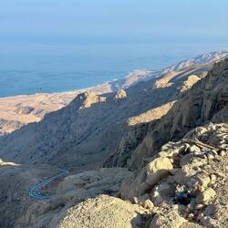 Lions Viewpoint