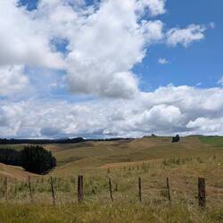 Brief view of a blue sky.