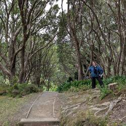 A grove of something? No signs around. 🤷