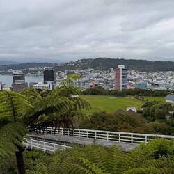 Wellington