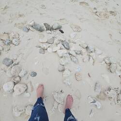 I'm gonna need another suitcase to take home. Why?