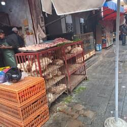 Nichts für schwache Nerven 🙈