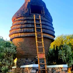 Auf einem Spaziergang entdeckt