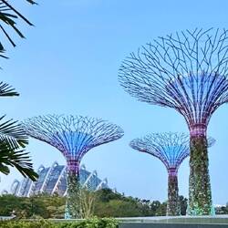 Gardens by the Bay
