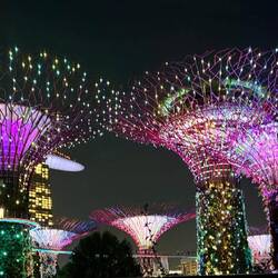 Gardens by the Bay, RhapsodyShow