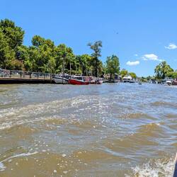 Motoring along the delta.