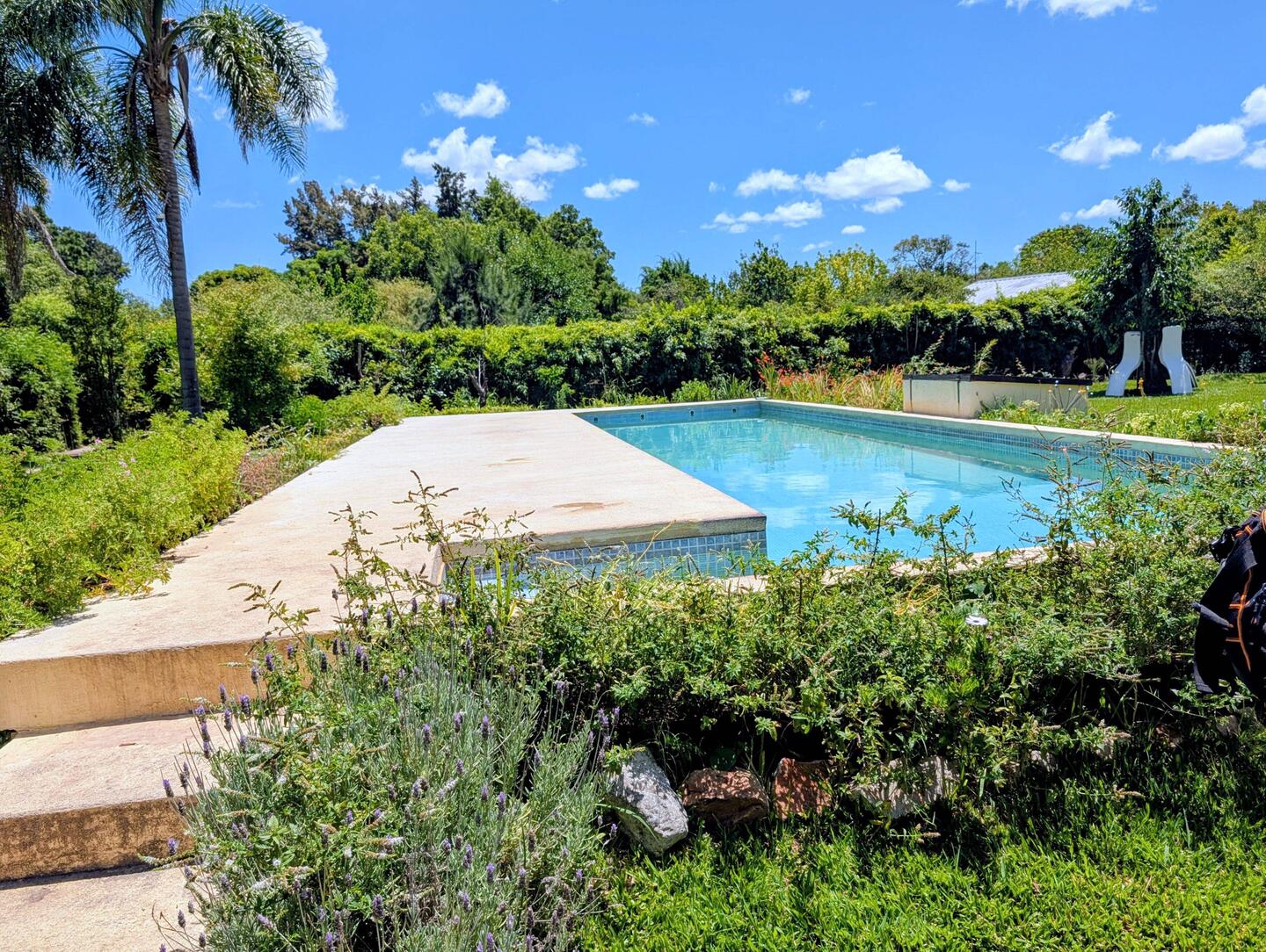The pool at Senador Dupont restaurant.