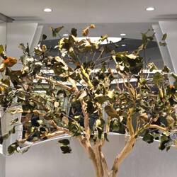 This tree needs help....