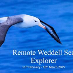 Title slide for today's recap.