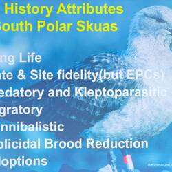 Slide for Gary's presentation.