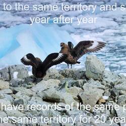 Slide for Gary's presentation.