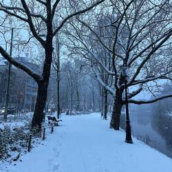 Walking to the office