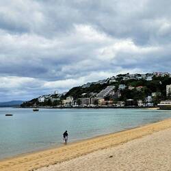 Oriental Bay