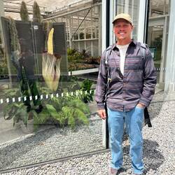 Besuch eines Titanenwurz. Die seltene Blühte ist menschengroß.