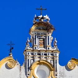 Die Störche haben den besten Platz