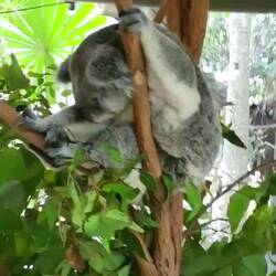 I want to bring one home!