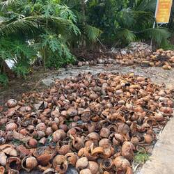 This was a very common scene across Vietnam