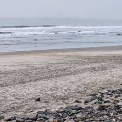 Fischer holen die Netze ein