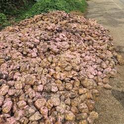 Kautschuk-Abfall, stinkend wie .....